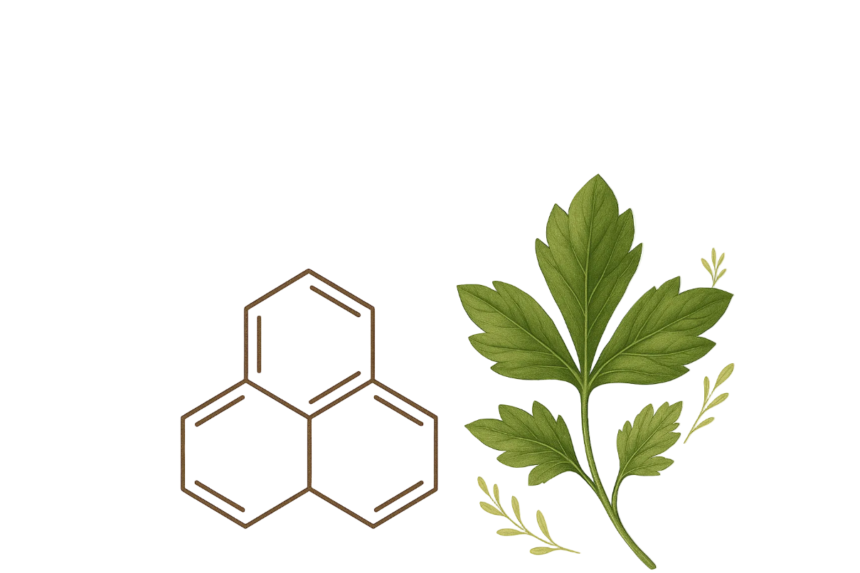 Molecular structure diagram with a leaf on a white background
